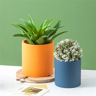 Chậu cây gốm sứ trong nhà